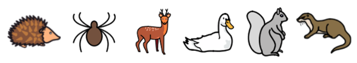 Middle school classroom mascots